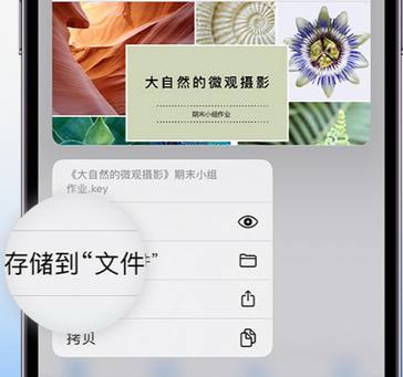 永宁apple维修中心分享iPhone文件应用中存储和找到下载文件