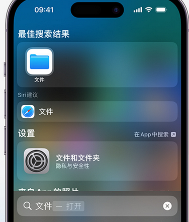 永宁apple维修中心分享iPhone文件应用中存储和找到下载文件