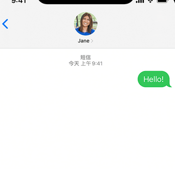 永宁apple维修iPhone上无法正常发送iMessage信息