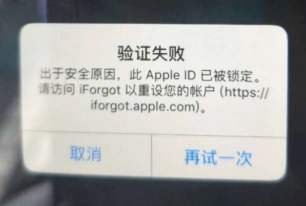 永宁iPhone维修分享iPhone上正常登录或使用AppleID怎么办 