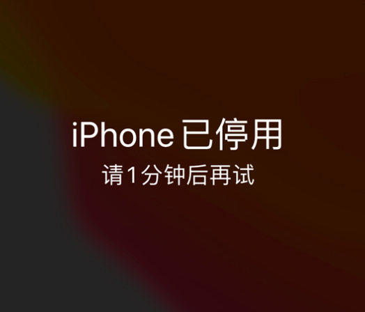 永宁苹果手机维修分享:iPhone 显示“不可用”或“已停用”怎么办？还能保留数据吗？ 