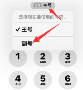 永宁苹果14维修店分享iPhone 14 Pro Max使用副卡打电话的方法 