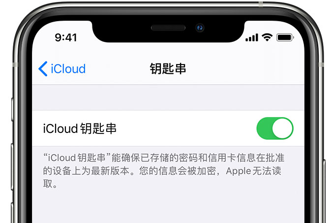 永宁苹果手机维修分享在 iPhone 上开启 iCloud 钥匙串之后会储存哪些信息 