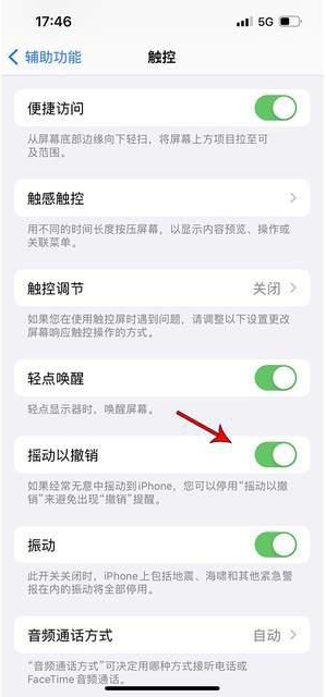 永宁苹果手机维修分享iPhone手机如何设置摇一摇删除文字 