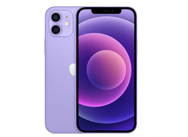 永宁苹果手机维修分享现阶段要不要入手紫色版iPhone12 